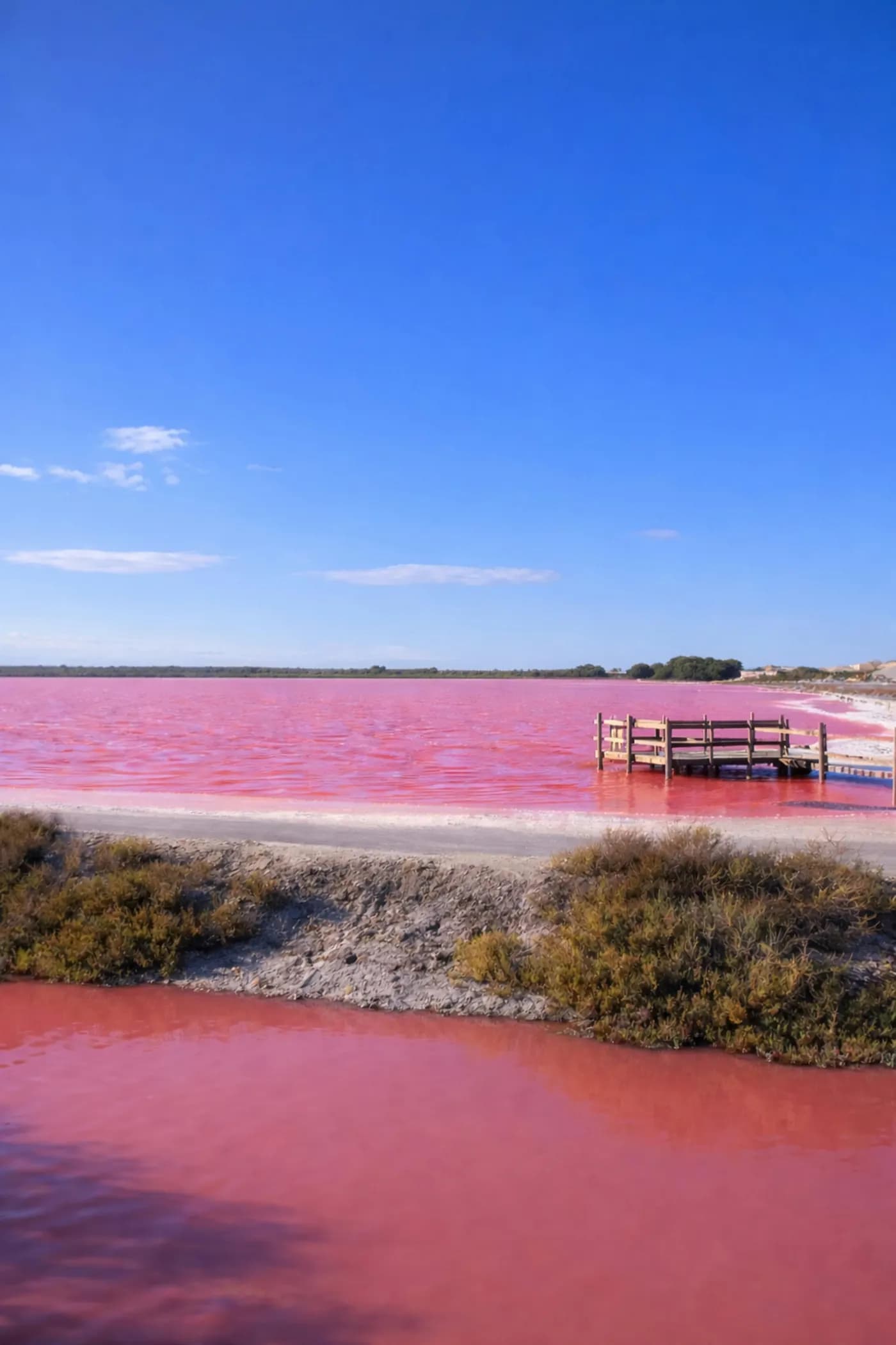 Laguna rosa de Las Coloradas